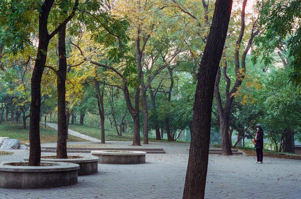 Nigelle : le complément qui booste votre immunité